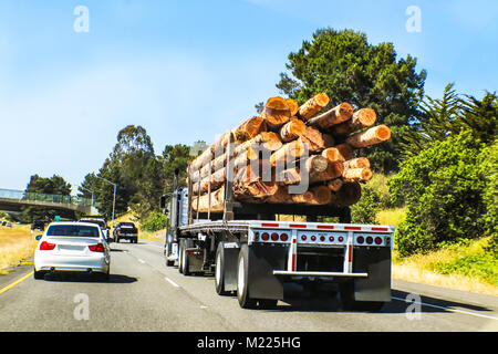 Read view of logging semi truck loaded with large logs traveling on highway with other vehicles Stock Photo