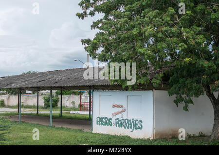 Las Tunas, Cuba - September 4, 2017: Building at the city fairgrounds used for experimental pasture and fodder exhibitions. Stock Photo