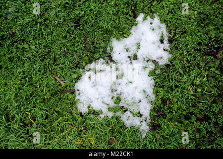 Melting ice on the green grass. Stock Photo