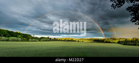 Rainbow over a field of wheat with a forest in the background Stock Photo