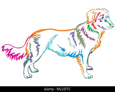 Colorful contour decorative portrait of standing in profile dog Nova Scotia Duck Tolling Retriever, vector isolated illustration on white background Stock Vector