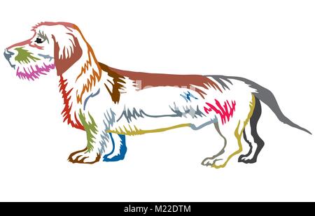 Colorful contour decorative portrait of standing in profile dog Dachshund (wire-haired), vector isolated illustration on white background Stock Vector