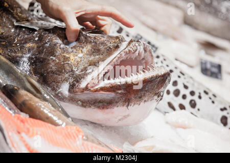 Male hand lifting up angler fish o in a seafood shop, close-up photo with selective focus Stock Photo