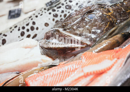 Angler fish and other seafood lay on counter in fish shop, closeup photo with selective focus Stock Photo