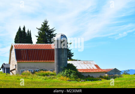 A beautiful pastoral barn and silo scenery in the pacific northwest countryside of Ferndale, Washington, USA. Stock Photo