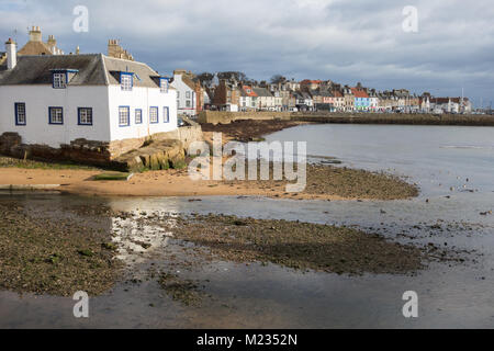 Seaweed on Anstruther beach in winter, Fife, Scotland, UK Stock Photo