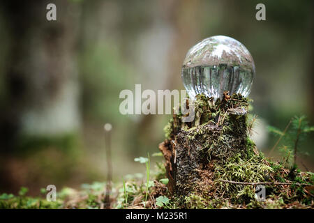 Crystal ball. A magical accessory in the woods on the stump. Rit Stock Photo