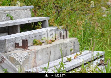 An old set of wooden stairs that are not being used anymore, are leading down to the lake shore Stock Photo