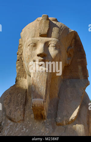 The Sphinx of Memphis statue at the Memphis Museum, Cairo, Egypt Stock Photo