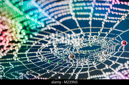 Close-up of beautiful colorful cobweb with pearls from water drops. Multicolored texture of spider web with glittering rain drops on night background. Stock Photo