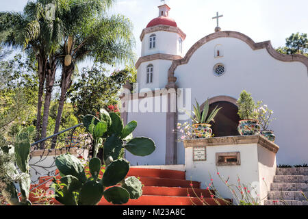 Vallarta Botanical Gardens, Jalisco, Mexico Stock Photo