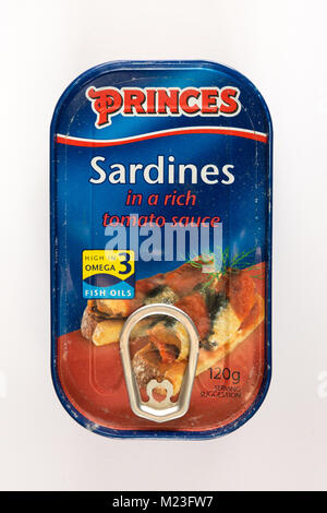 Tin of Princes sardines in a rich tomato sauce on white background Stock Photo