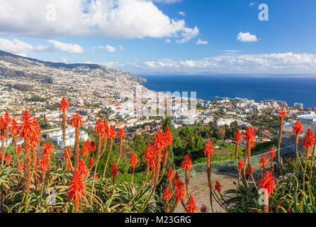 madeira portugal madeira view of Funchal the capital city of Madeira looking across the bay port harbour and old town Funchal Madeira Portugal Europe Stock Photo