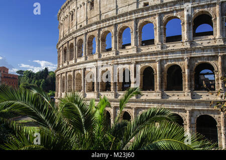 Colosseum in morning light, Rome, Italy Stock Photo