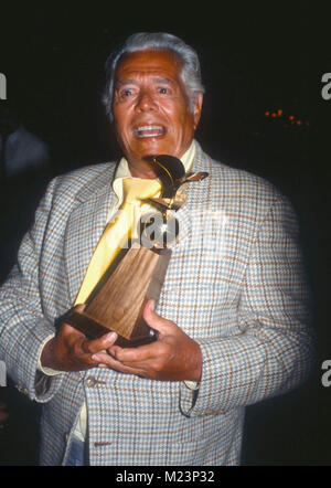 BEVERLY HILLS, CA - JUNE 12: Actor Desi Arnaz Sr. receives award at Nosotros event at the Beverly Hilton Hotel on June 12, 1981in Beverly Hills, California. Photo by Barry King/Alamy Stock Photo Stock Photo