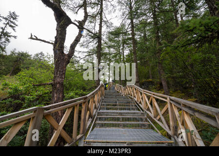 Sidewalk in in Yading national level reserve Daocheng Sichuan Province China. Stock Photo