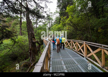 Sidewalk in in Yading national level reserve Daocheng Sichuan Province China. Stock Photo