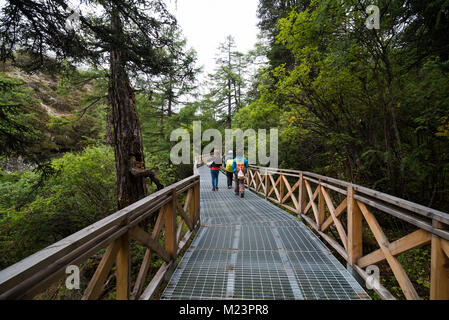 Sidewalk in in Yading national level reserve Daocheng Sichuan Province China. Stock Photo