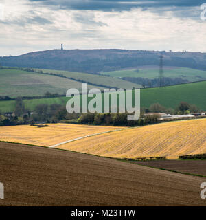 Ploughed fields and pastures cover the rolling landscape of the Dorset Downs hills, with Hardy's monument in the distance. Stock Photo