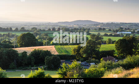 A patchwork of agricultural fields, crops and pasture in the Blackmore Vale area of North Dorset, England. Stock Photo