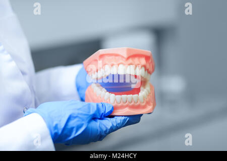 Denture picture with the best focus on teeth. Dentist holding tooth model during a presentation. Teeth orthodontic dental model or human jaw. Stock Photo
