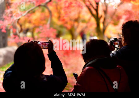 Tourists taking pictures of bright red autumn Japanese gardens at Tofukuji temple in Kyoto, Japan 2017. Stock Photo