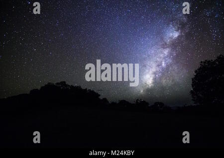 Milky Way and tree on the field. Little tree against night starry sky with blue milky way. Night landscape. Space background. Galaxy. Stock Photo