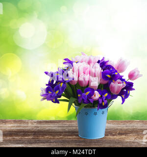 Bunch of blue irises and pik tulips on wooden table over garden background Stock Photo