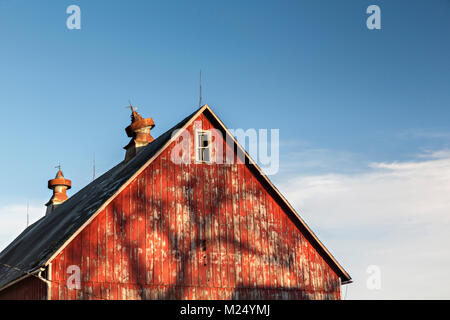 Red barn with shadow of tree in central Iowa, USA Stock Photo