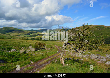 Hethpool from the Cheviots, Northumberland Stock Photo