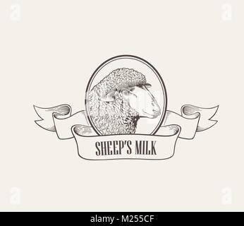Head of sheep inside round frame decorated with ribbon hand drawn in elegant vintage engraving or etching style. Domestic farm animal. Vector illustration for label, milk or dairy product logotype. Stock Vector