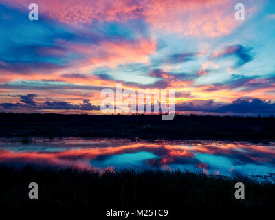 Amazing sunset reflecting into the bayou in the swamp Stock Photo