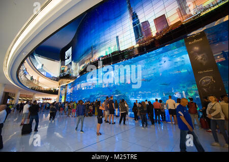 DUBAI, UNITED ARAB EMIRATES - JAN 02, 2018: Tourists are watching at a big aquarium inside the shopping mall in the center of the city near the Burj K Stock Photo