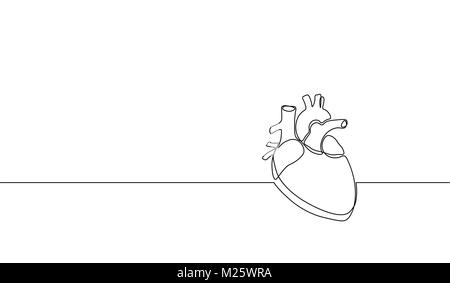 Single continuous line art anatomical human heart silhouette. Healthy medicine concept design one sketch outline drawing vector illustration Stock Vector