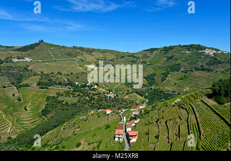 Terraced vineyards in the Rio Pinhao Valley, Sao Cristovao do Douro, Portugal Stock Photo