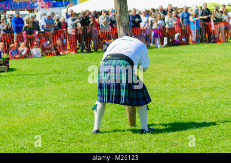 Male prepares to compete in tossing the caber competition at the Dundonald Highland Games, Ayrshire, which celebrates traditional Scottish culture Stock Photo