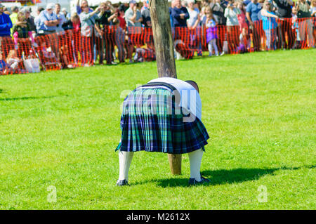 Male prepares to compete in tossing the caber competition at the Dundonald Highland Games, Ayrshire, which celebrates traditional Scottish culture Stock Photo