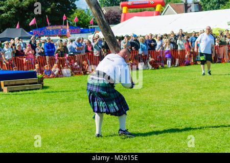 Male prepares to compete in tossing the caber competition at the Dundonald Highland Games, Ayrshire, which celebrates traditional Scottish culture Stock Photo