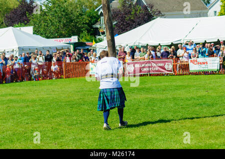 Male prepares to compete in tossing the caber competition at the Dundonald Highland Games, Ayrshire, which celebrates traditional Scottish culture Stock Photo