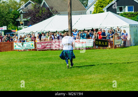 Male prepares to compete in tossing the caber competition at the Dundonald Highland Games, Ayrshire, which celebrates traditional Scottish culture Stock Photo