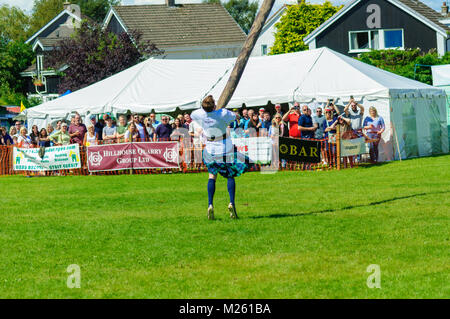 Male prepares to compete in tossing the caber competition at the Dundonald Highland Games, Ayrshire, which celebrates traditional Scottish culture Stock Photo