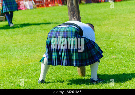 Male prepares to compete in tossing the caber competition at the Dundonald Highland Games, Ayrshire, which celebrates traditional Scottish culture Stock Photo