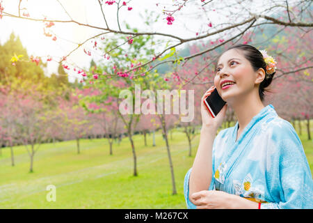 young beautiful woman traveler wear japanese kimono visiting sakura park in japan and enjoying pink flower using mobile cell phone calling for friend  Stock Photo