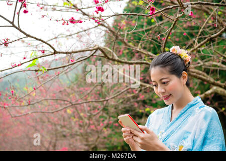 elegant smiling female tourist wearing kimono clothing using mobile cell phone when she sightseeing blooming cherry flowers garden in japan. Stock Photo