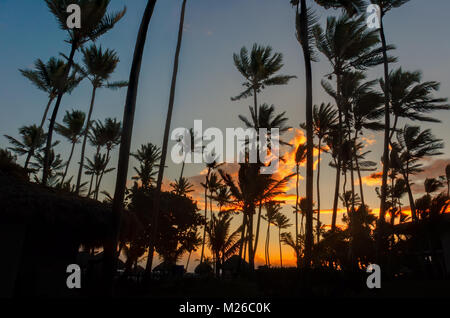 orange clouds and a blue sky in the morning tropical forest with black silhouettes of tall coconut palms and thatched huts Stock Photo