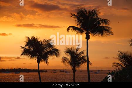 KEY WEST, FLORIDA: Sailboats and palm trees are silhouetted against a sunset sky on the Key West waterfront. (Photo by Matt May/Alamy) Stock Photo
