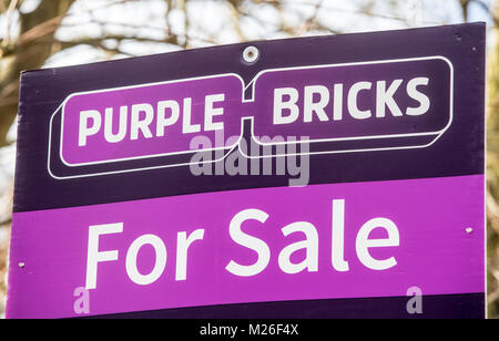 Purple Bricks property sale and to let signs Stock Photo