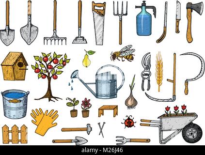 Set of gardening tools or items. hose reel, fork, spade, rake, hoe, trug, cart, lawnmower, elements collection. work equipment. shovel fence tree saw watering can ax. engraved hand drawn in old sketch Stock Vector
