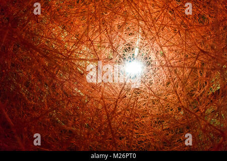 Picture of abstraction from orange threads Stock Photo