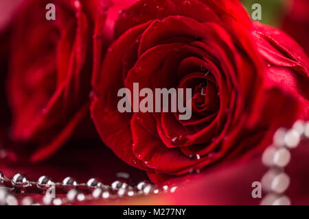 Red roses. Bouquet of red roses. Valentines Day, wedding day background. Waters drops on roses petals. Stock Photo